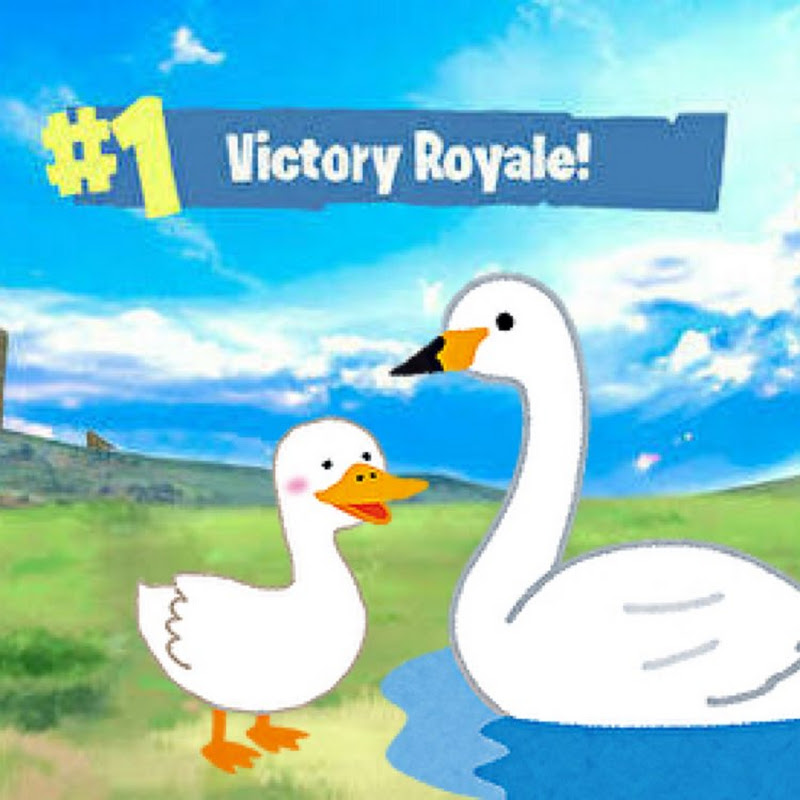 Fortnite brother 毎日6時〜8時配信中