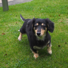 まなみの四季の庭