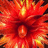 FbBmkFLbbME-channel-avatar-regina phalange