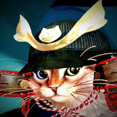 ていきょーのバーチャル猫猫劇場