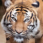 HM Channel Image Thumbnail