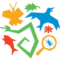 Thumbnail of related channel