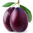 @nemoprunus3042