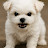 @JungmanKim