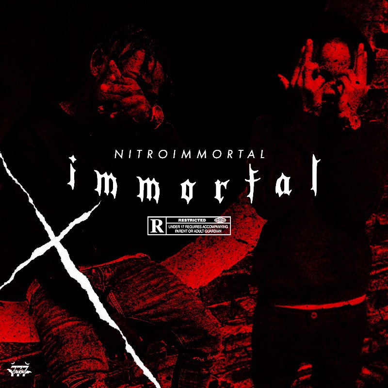 Nitro Immortal icon