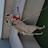 @user-bj3sf4lo2q