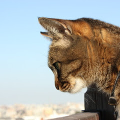 Hunt 13ちゃんねる