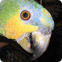 Amigosdelmundo1