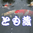 0uJfp3v4Wio-channel-avatar-とも蔵