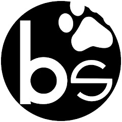 Логотип каналу Brauni Studio