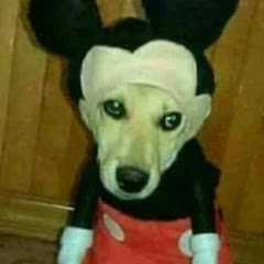 Cris bob