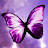 @fibroflower757