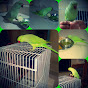 Talking Parrot Minni logo