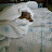 @user-wq6wf5ie8n