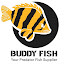 Buddyfish Channel