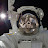 avatar of @luislopez-fv9vw