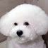 bUbJaEJfS8E-channel-avatar-VIVI OH