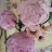 @user-mj2lg8xm2s