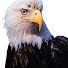 SUn2zMeH_e8-channel-avatar-EagleWoodworking