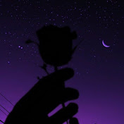 Y .nstoriesand3dits