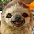 @slothy-sloth-sloth5681