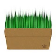 Damaeur だまちゃアイコン画像