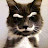 @ROVictiM's avatar