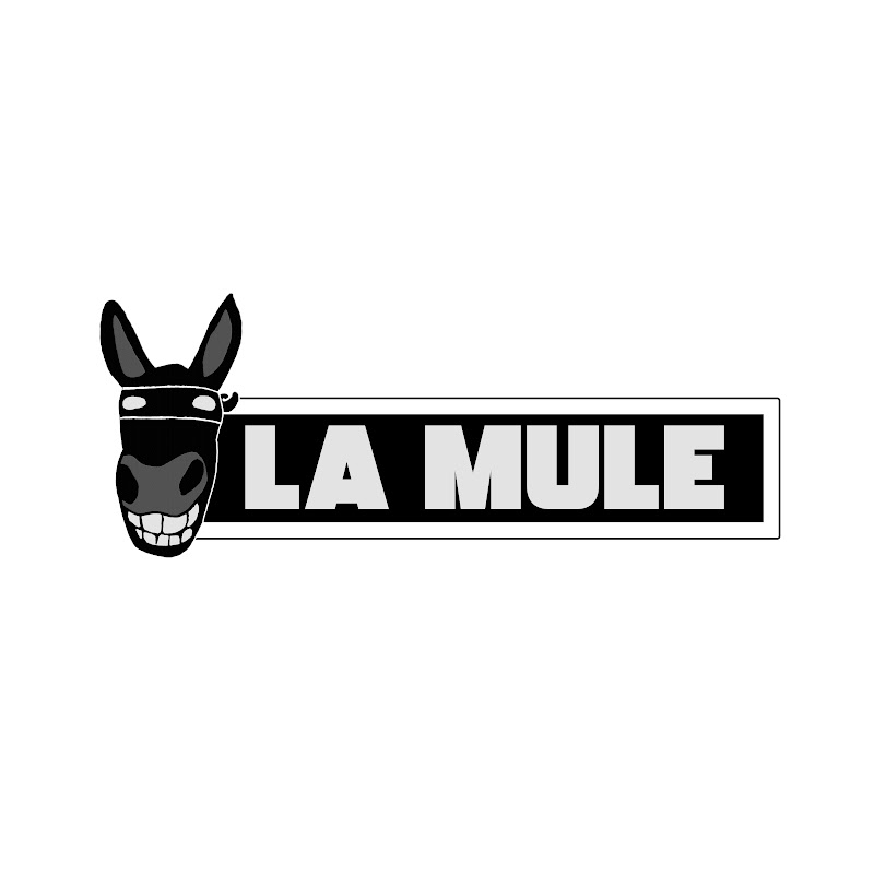 La mule - Le média qui s'entête icon