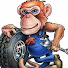 hmdxhmUYjJU-channel-avatar-Grumpy Monkey Garage