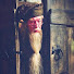 8XbUEan-SIY-channel-avatar-Ravenclaw Alltheway
