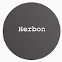 Herbon Guitar