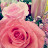 @may-vc2dl