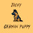 Jacky German Puppy