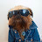@rustymcaron5379's avatar