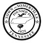 Town of Somerville logo