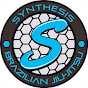 Synthesis Brazilian Jiu-Jitsu