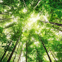 Life Glimpse Avatar