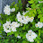 @임종순-j1i