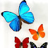 b6EUaH-9eOg-channel-avatar-bohemian rhapsody magazine