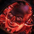 fxSiZY6z5QY-channel-avatar-Sam Chw dr