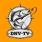 Dã Ngoại Việt TV