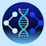 YermBcw8phM-channel-avatar-Palindrome