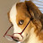 @minigiant8998 Avatar