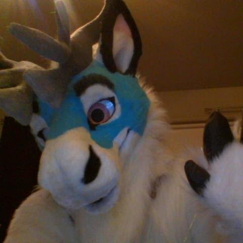 Boof the Bou icon