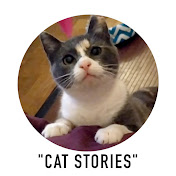 Cats stories
