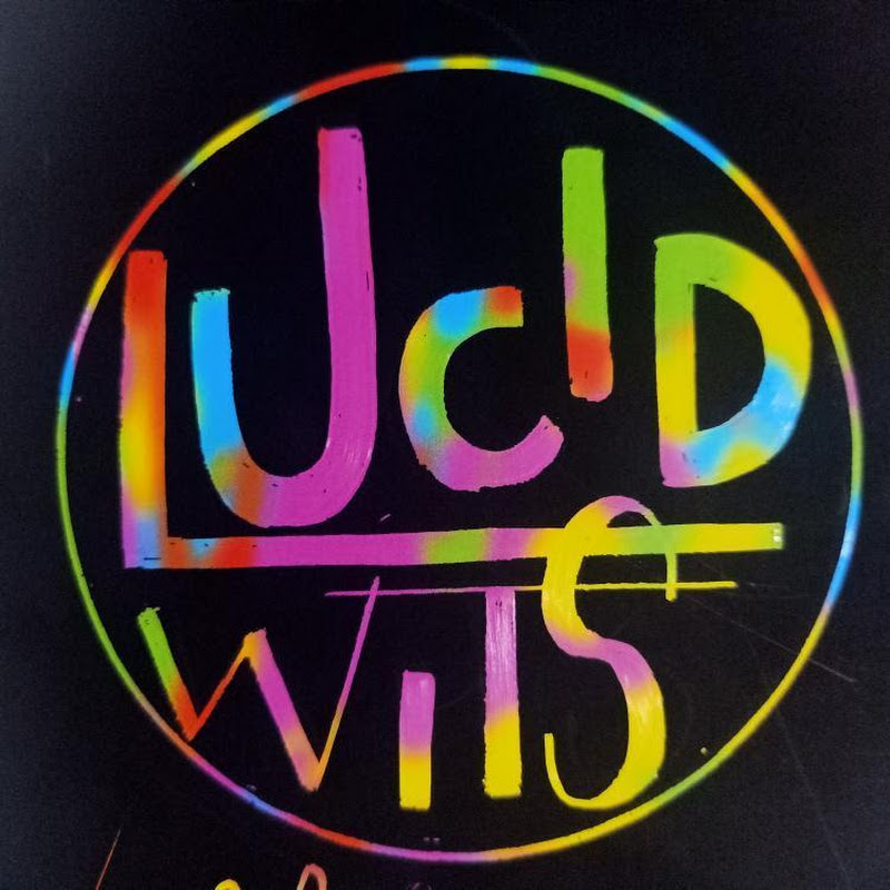 Lucid Wits