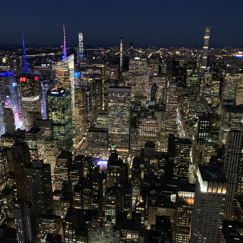 New York City Daily