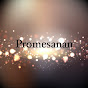 Promesanan logo