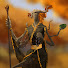 eYRCsml1R8Y-channel-avatar-Treantmonk's Temple