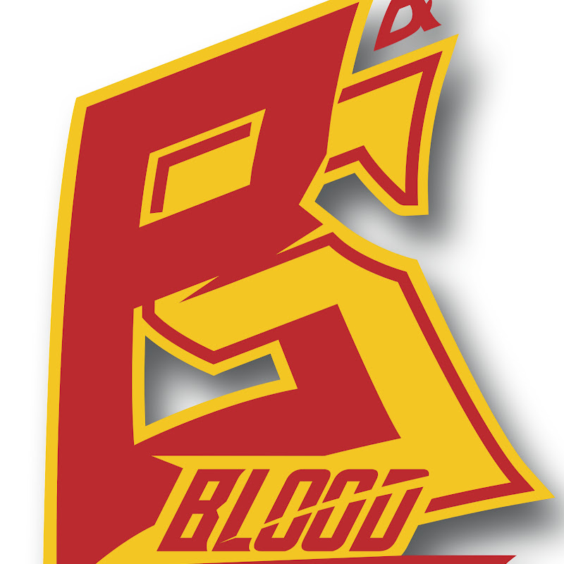 bloodandsweatmma Logo